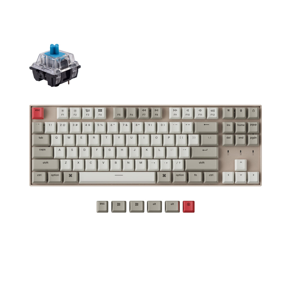 Keychron K8 tenkeyless wireless mechanical keyboard for Mac Windows iOS non backlight with keychron switch blue