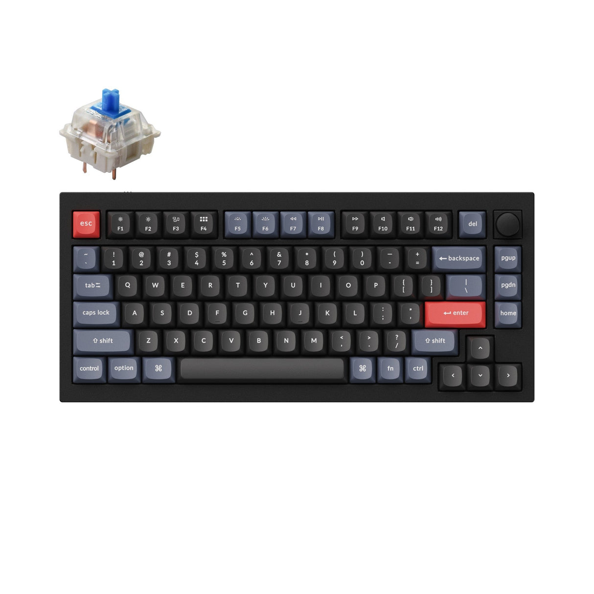 Keychron Q1 Custom Mechanical Keyboard QMK OSA PBT Keycap Knob Black Gateron G Pro Blue Version B