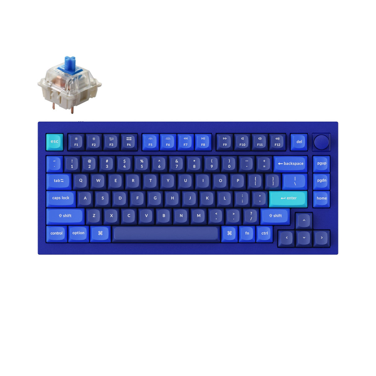 Keychron Q1 Custom Mechanical Keyboard QMK OSA PBT Keycap Knob Blue Gateron G Pro Blue Version B