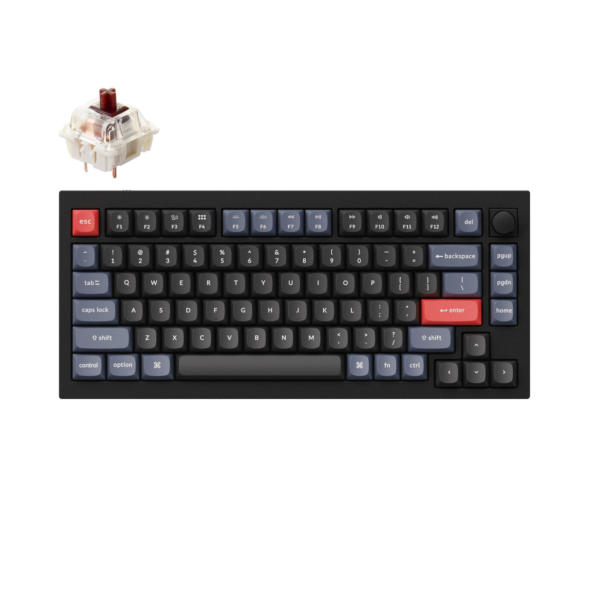 Keychron Q1 Custom Mechanical Keyboard QMK OSA PBT Keycap Knob Black Gateron G Pro Brown Version B